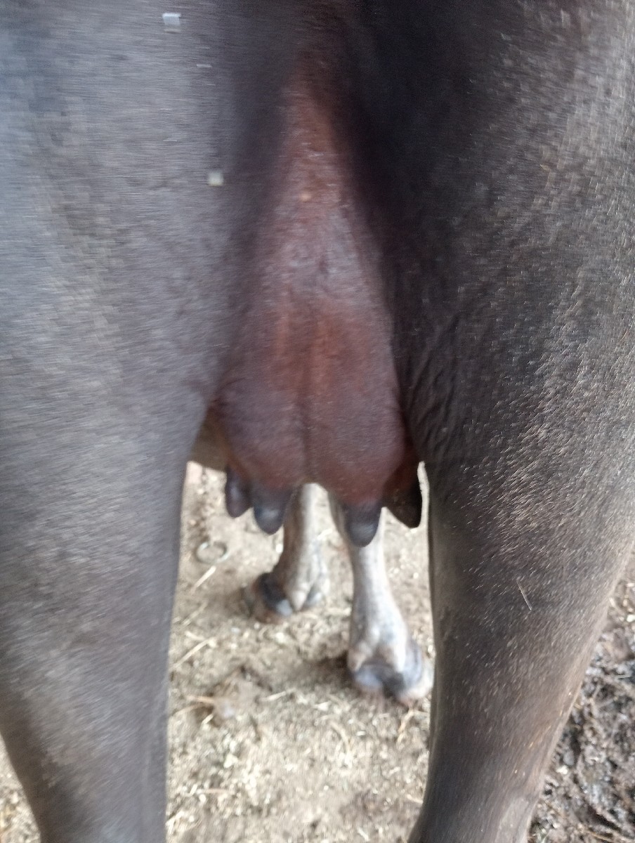 Post Image 3