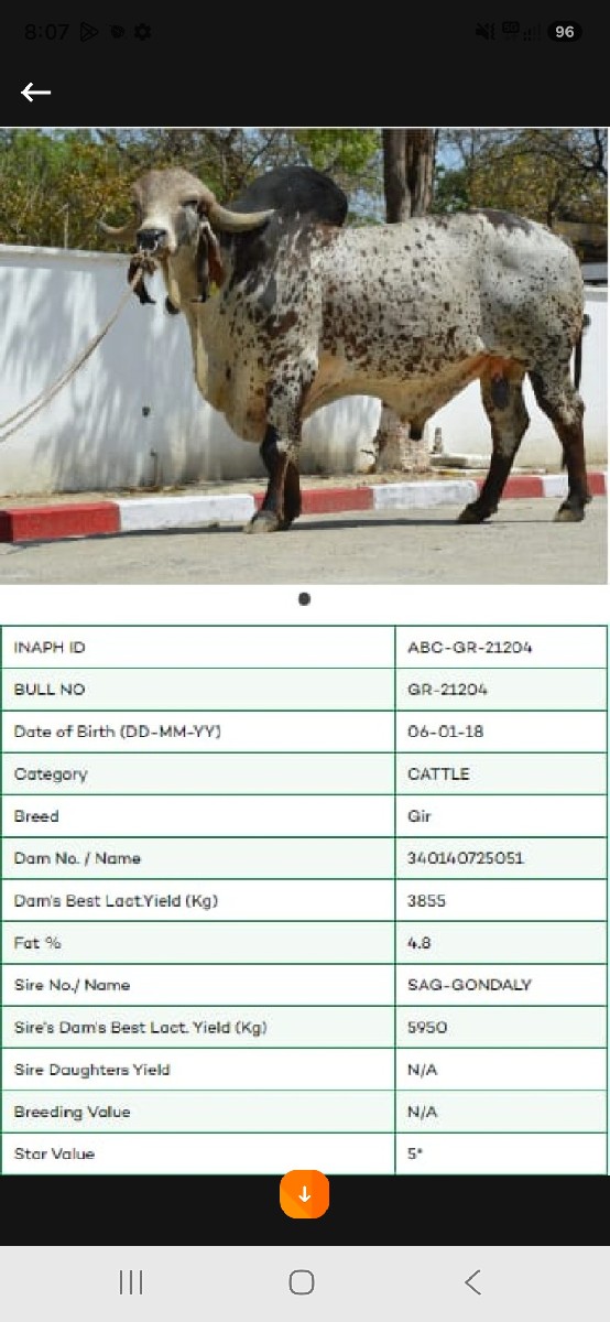 Post Image 3