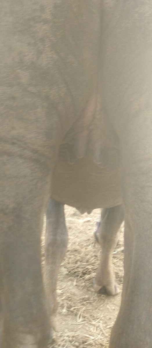 Post Image 4