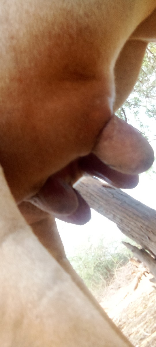 Post Image 3