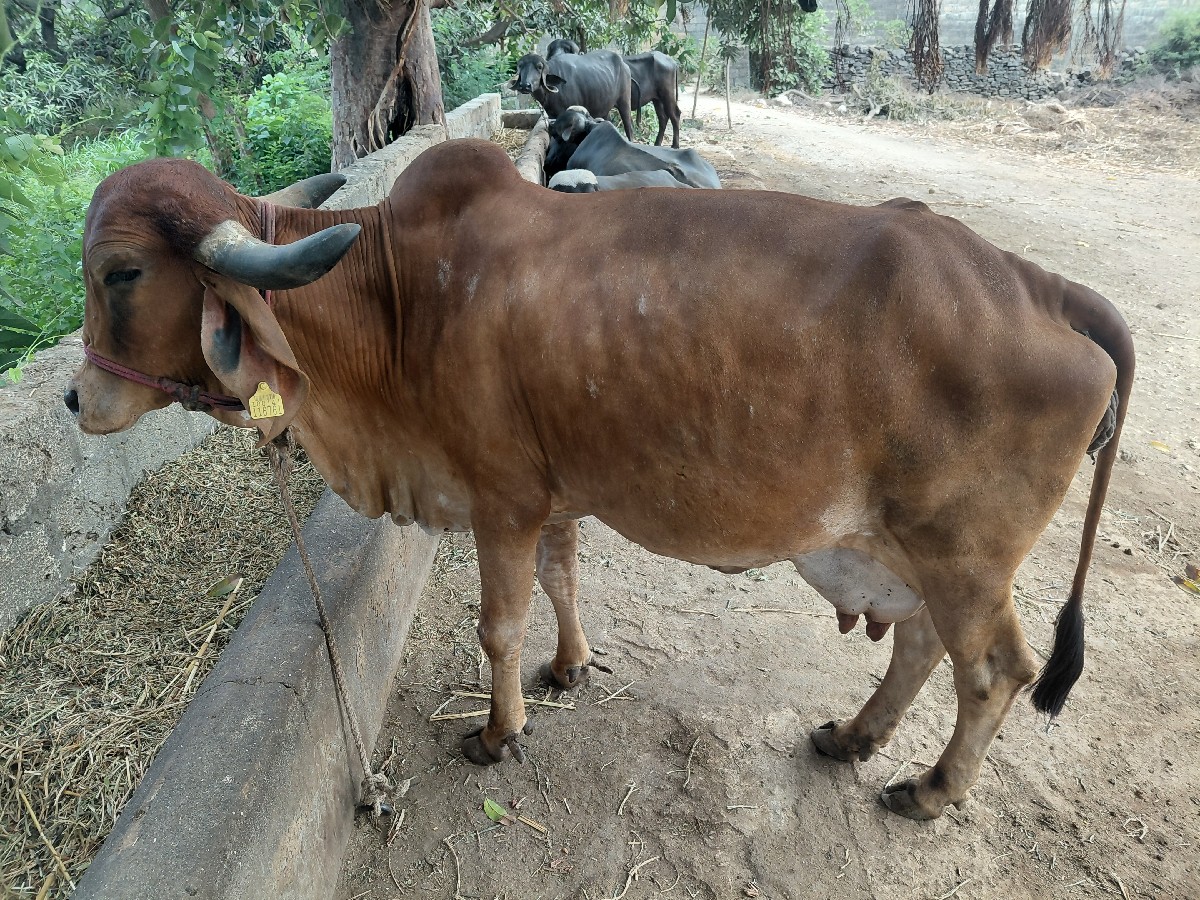 Post Image 2