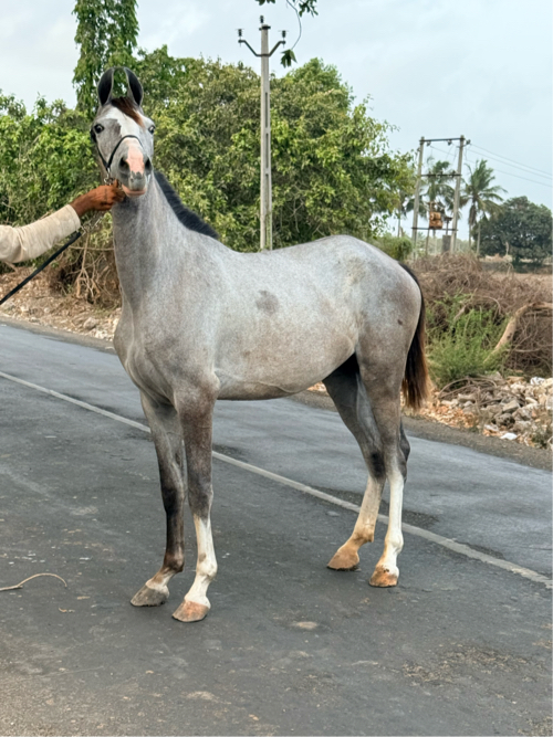 Post Image 2