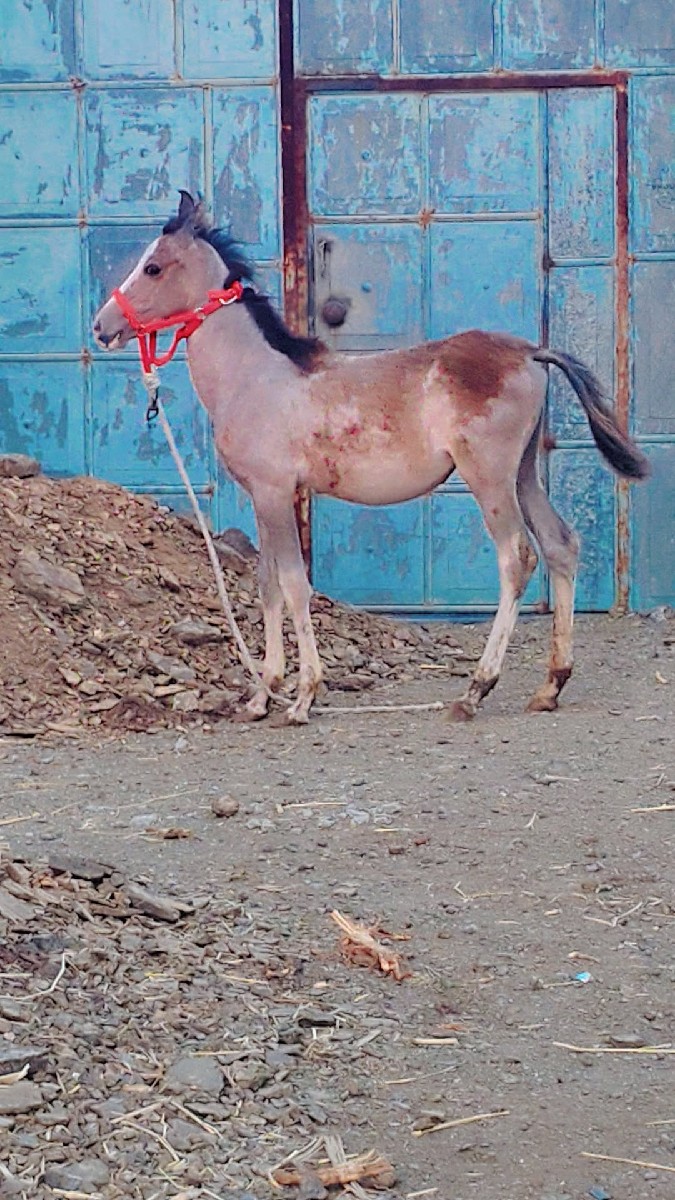 Post Image 3