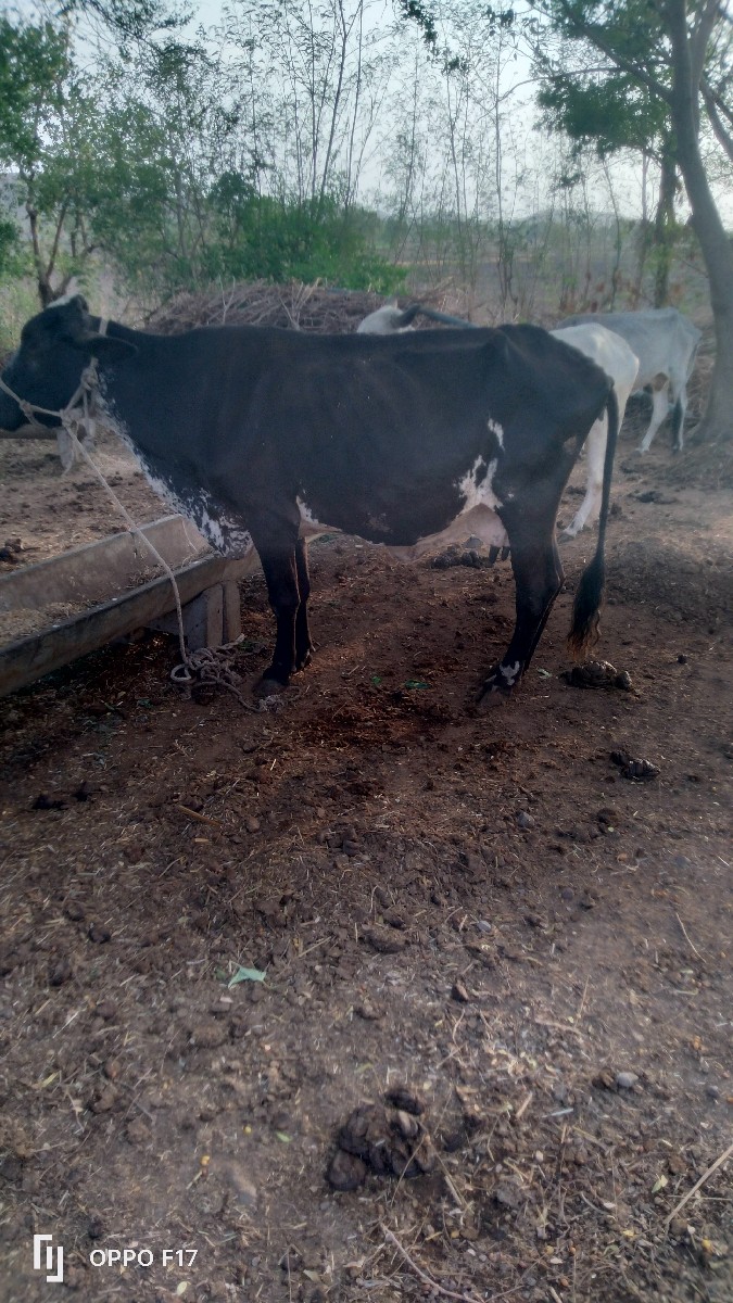 Post Image 2