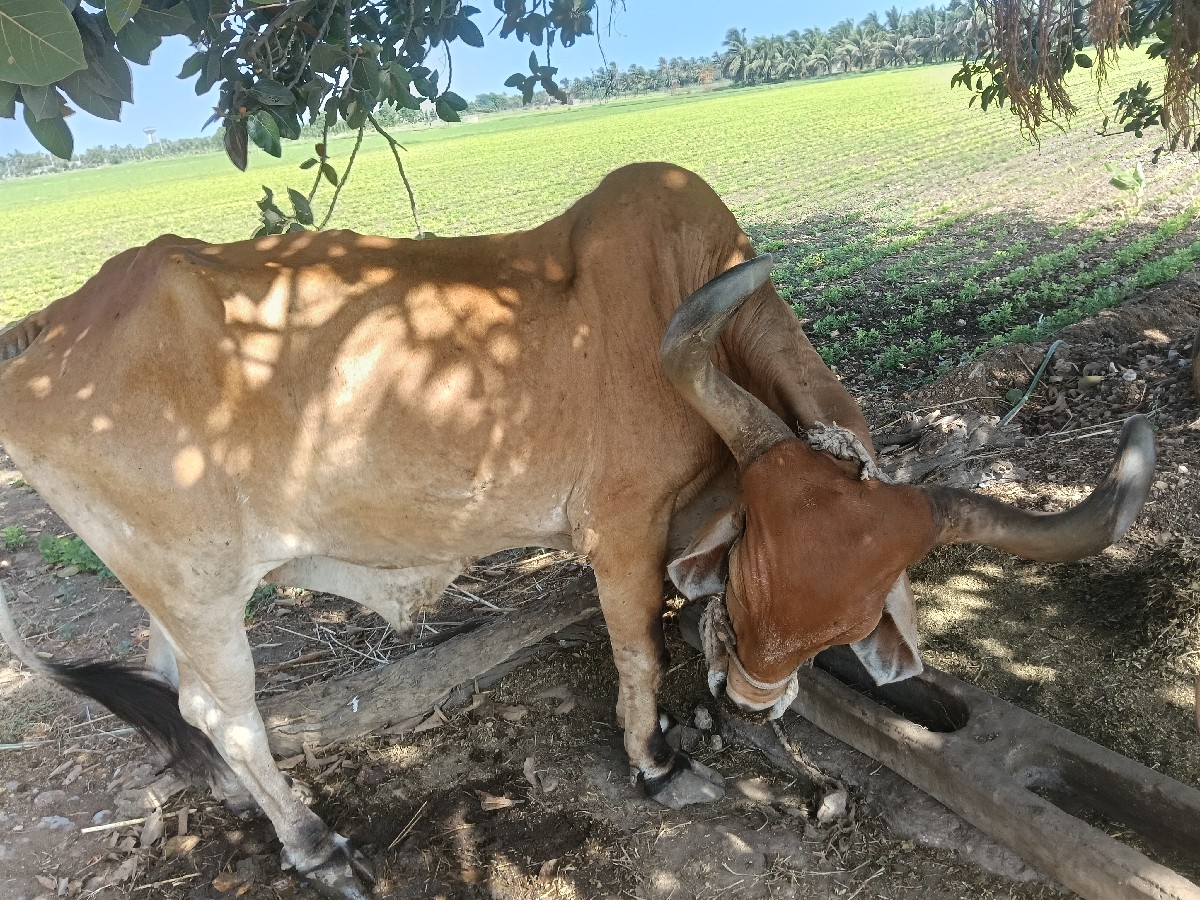 Post Image 3