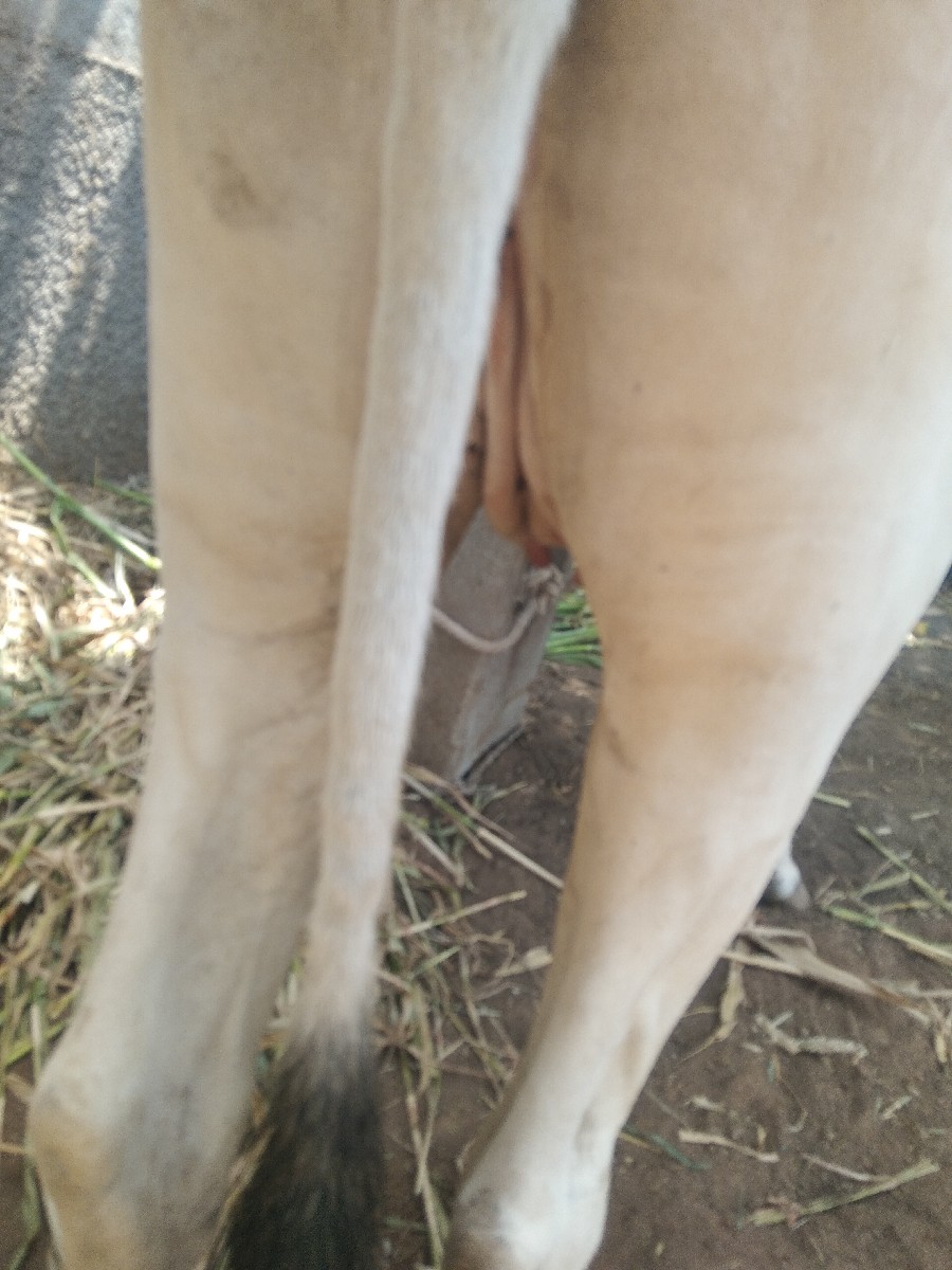 Post Image 2