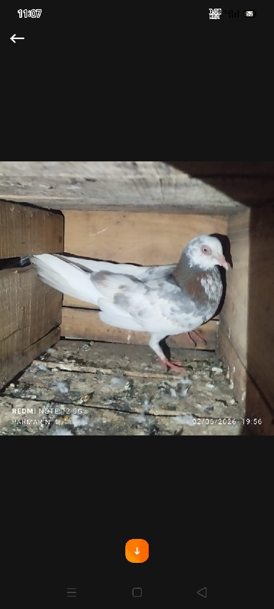 Post Image 1