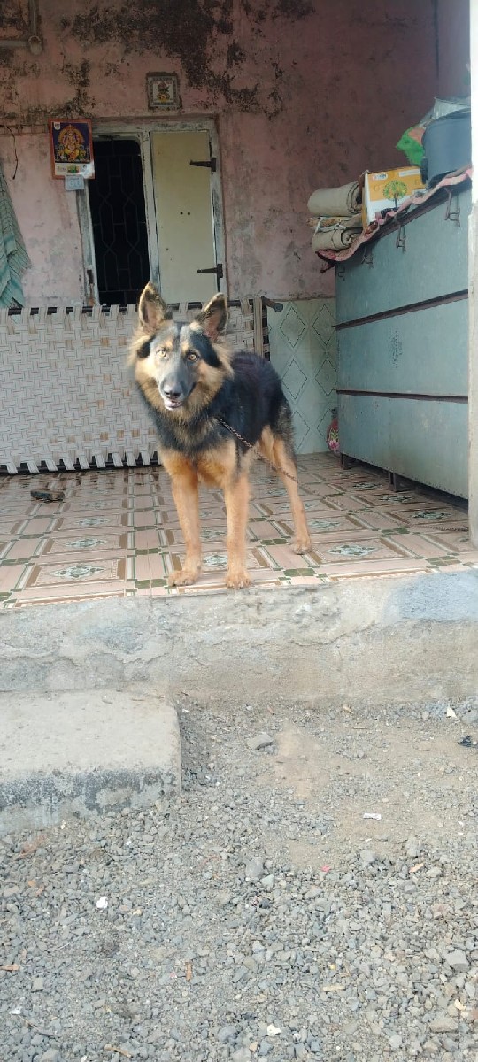 Post Image 1