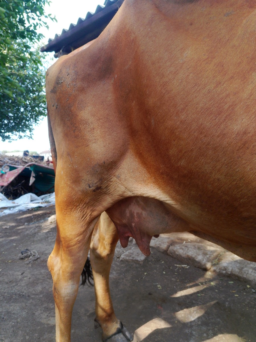 Post Image 2