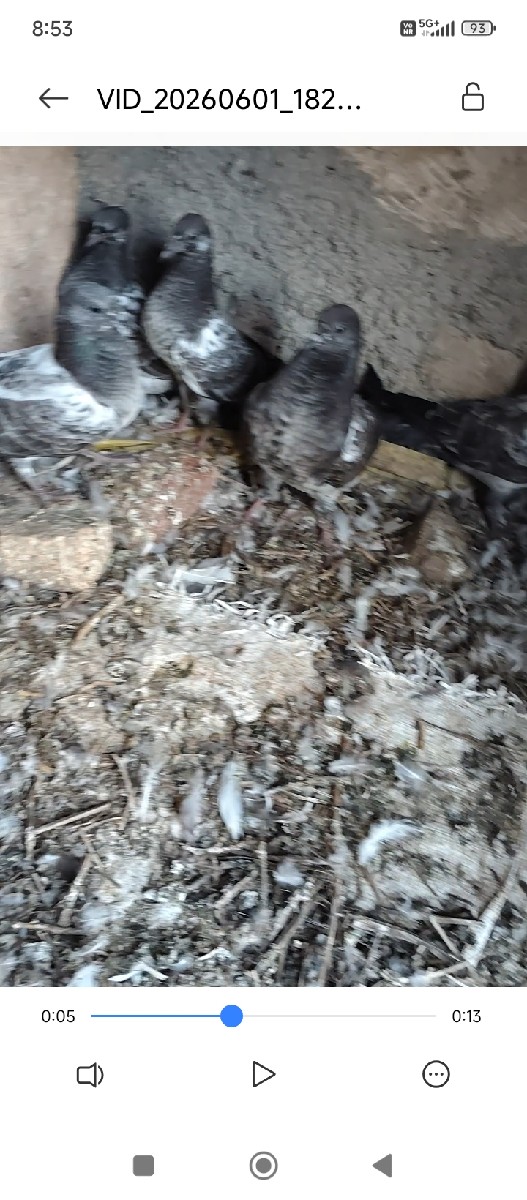 Post Image 3