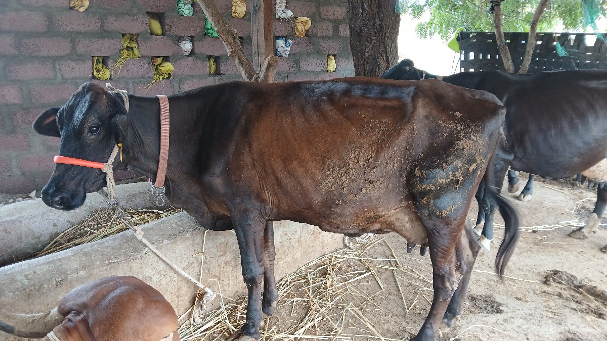 Post Image 2