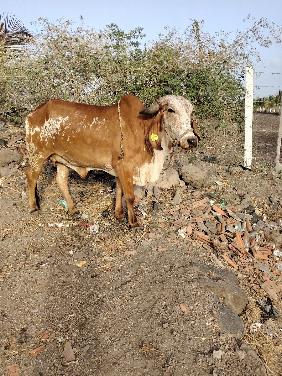 Post Image 2