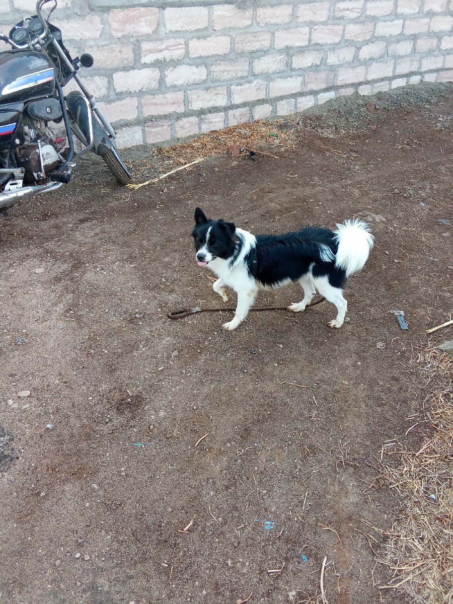 Post Image 1