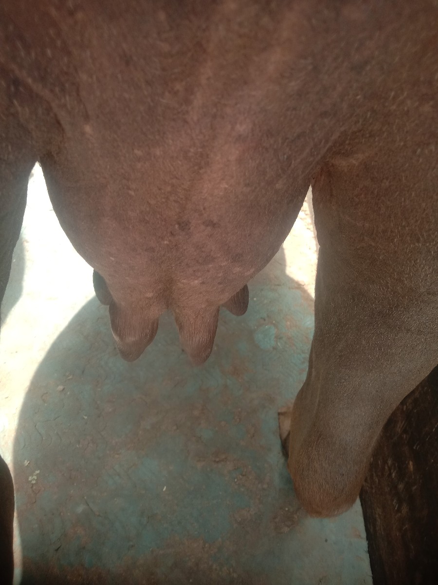 Post Image 5