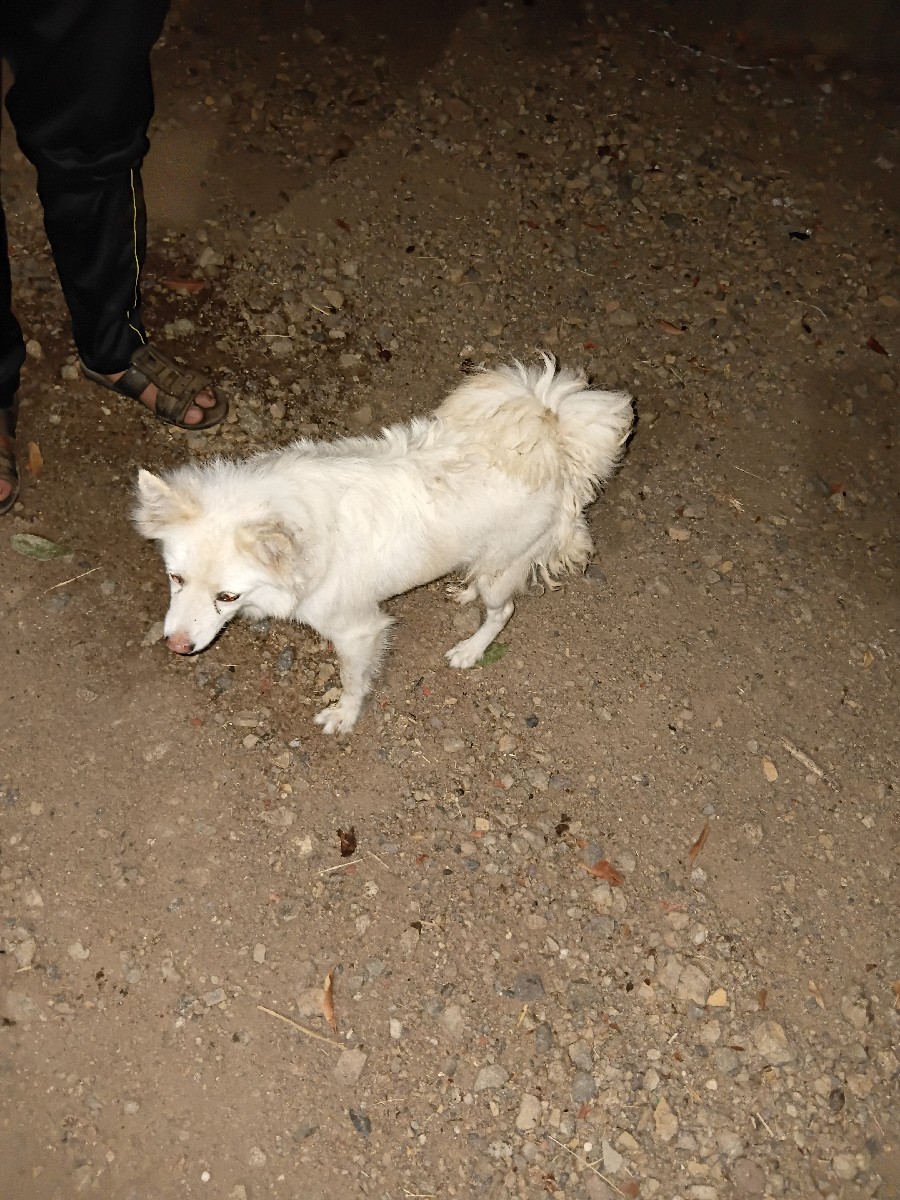 Post Image 2