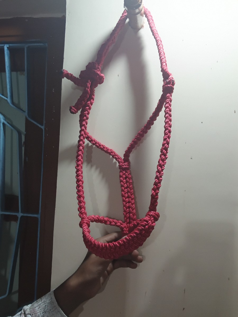 Post Image 2