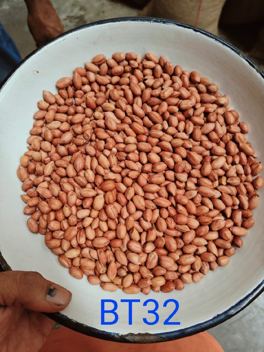 Post Image 5
