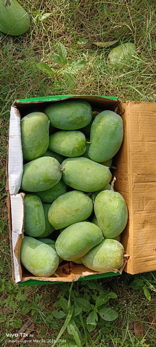 Post Image 2