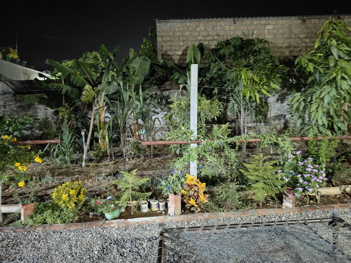 Post Image 2