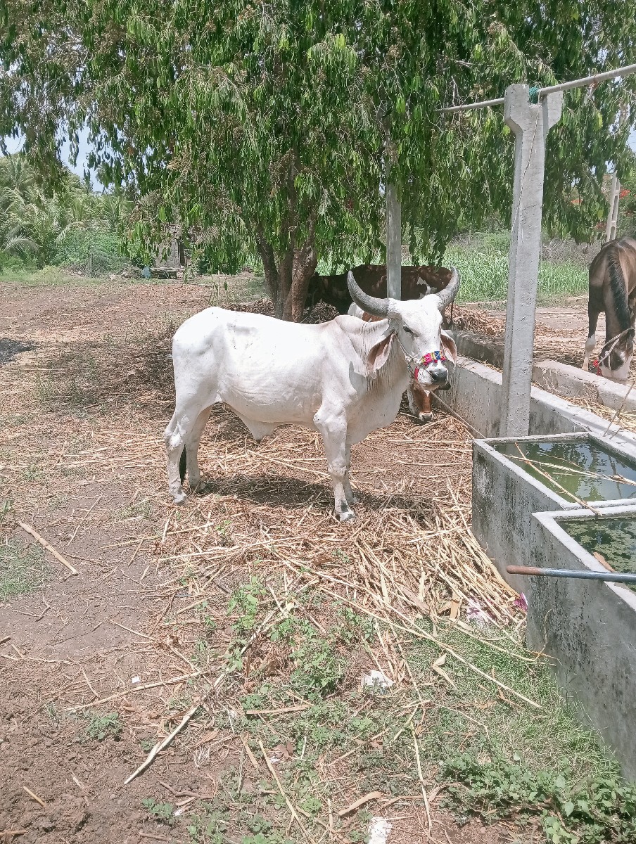 Post Image 2