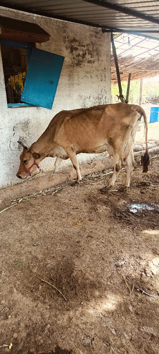 Post Image 6