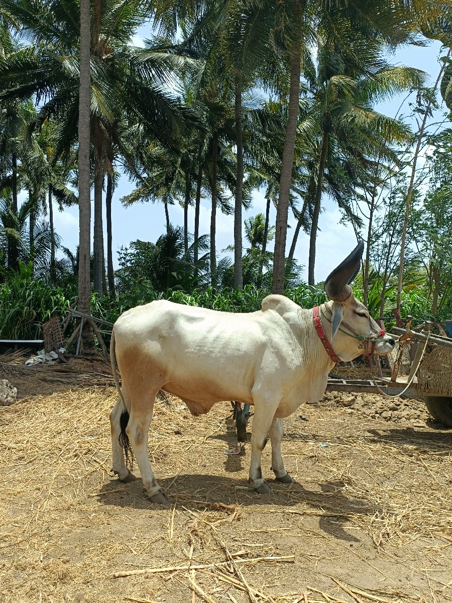 Post Image 5