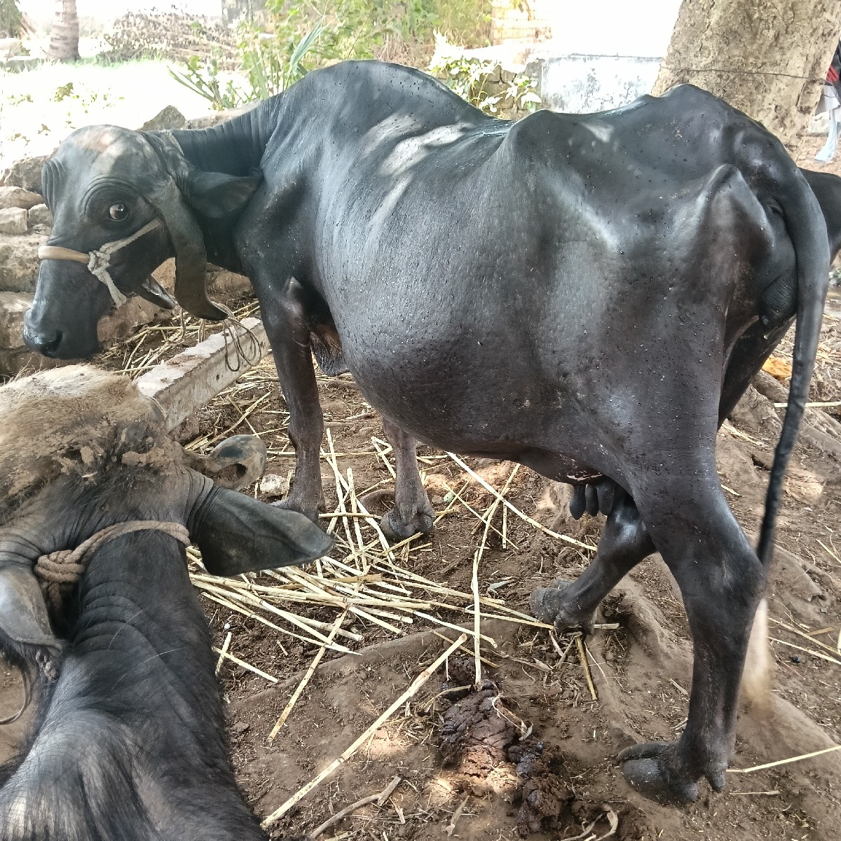 Post Image 3
