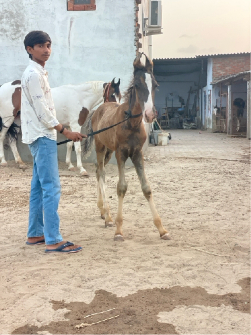 Post Image 3