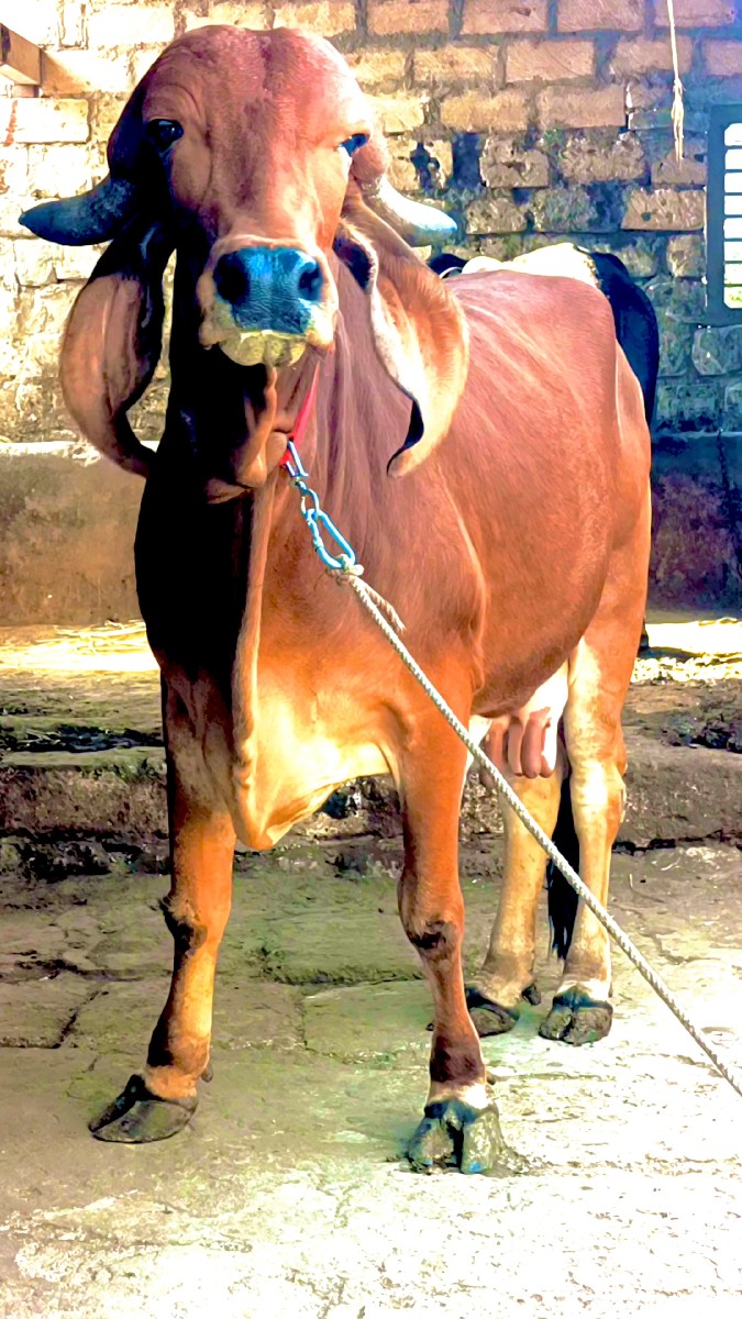 Post Image 3