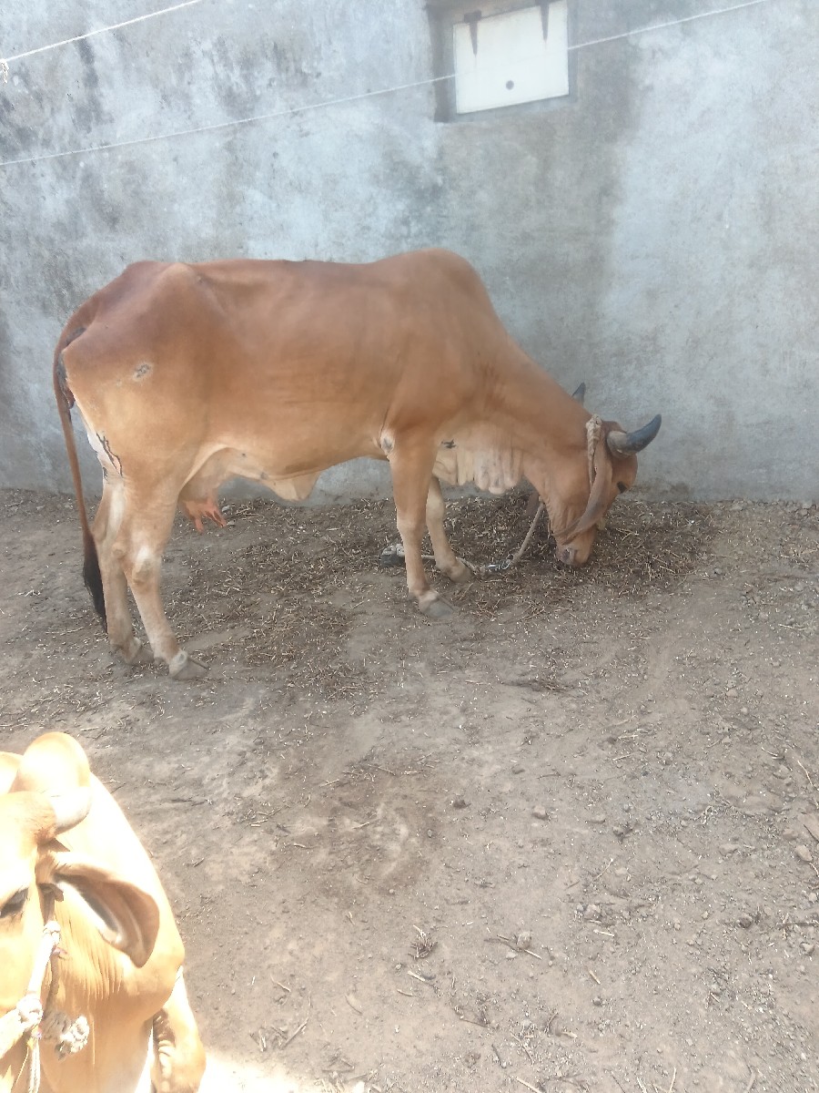 Post Image 2