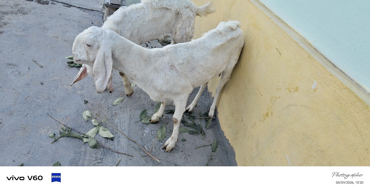Post Image 2