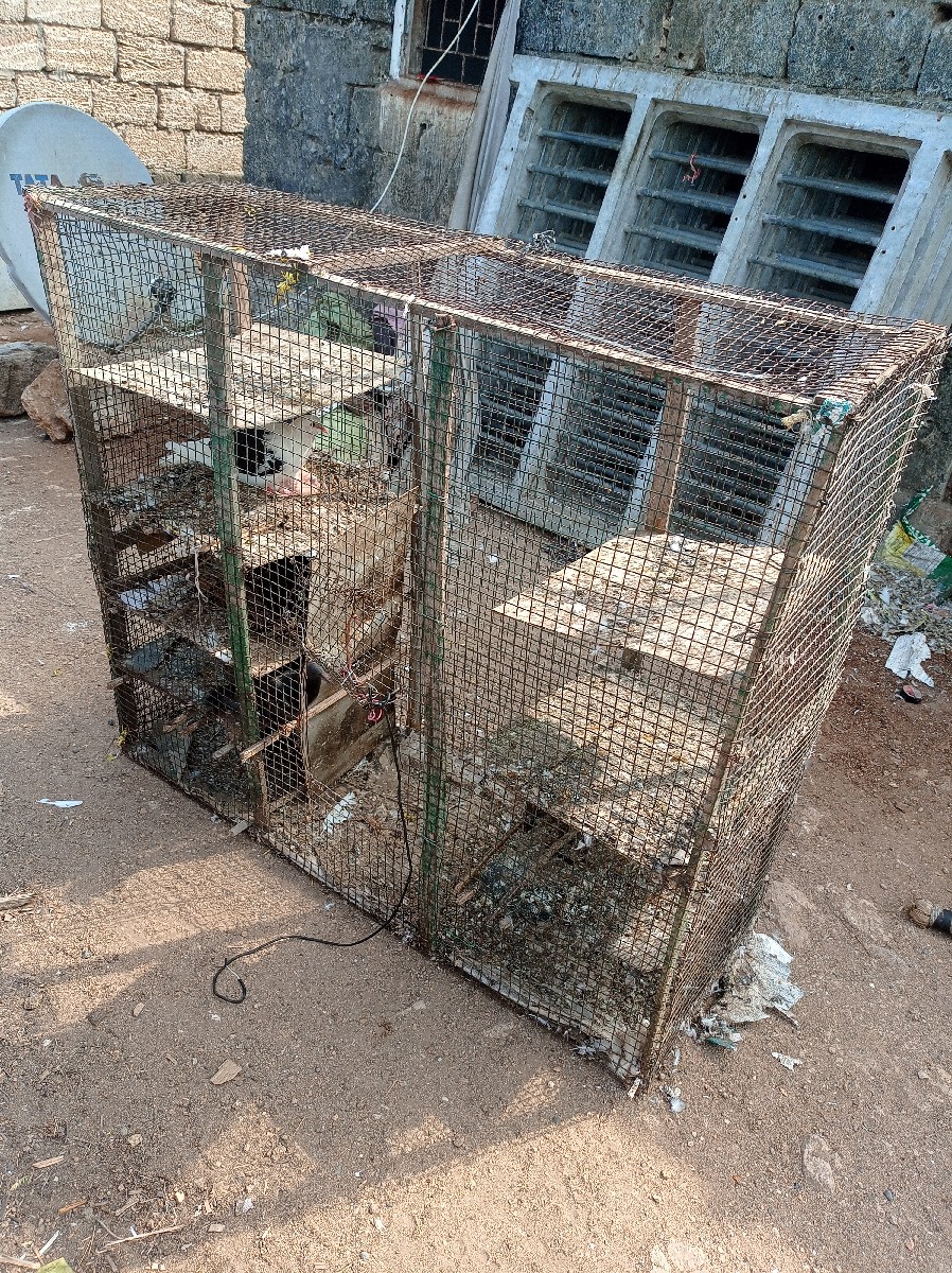 Post Image 1