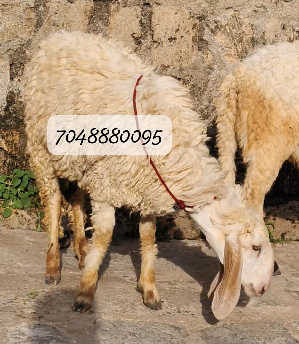 Post Image 2