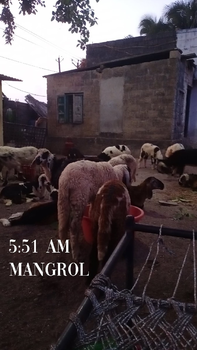 Post Image 1