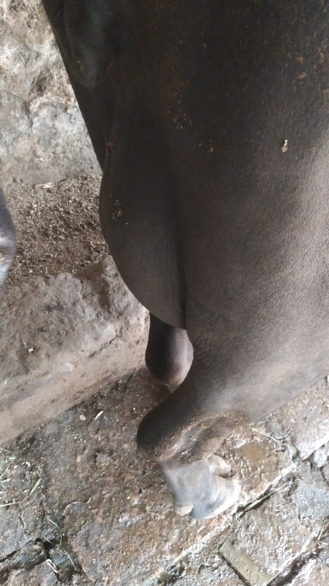 Post Image 2