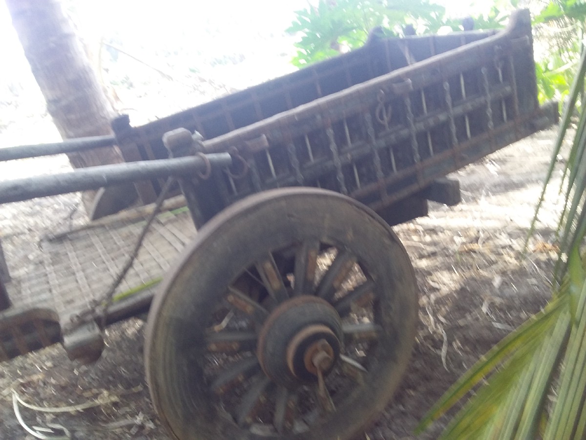 Post Image 3