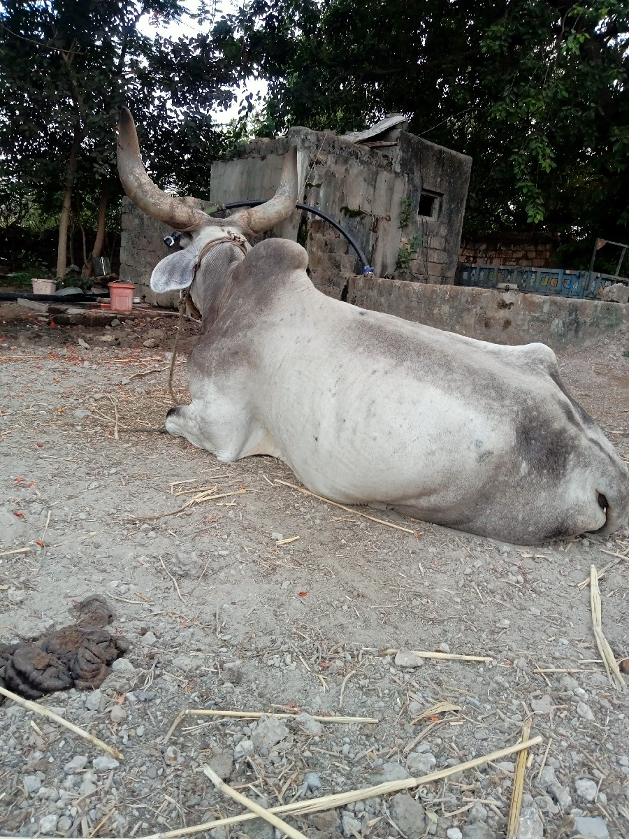 Post Image 2