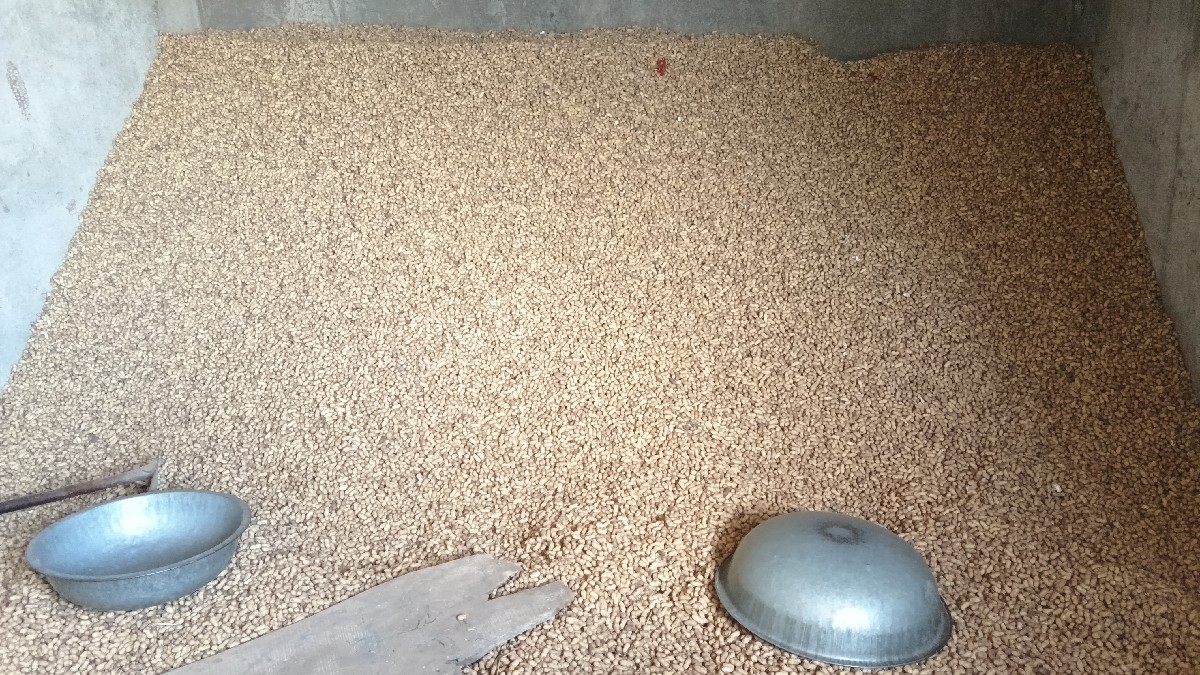 Post Image 2