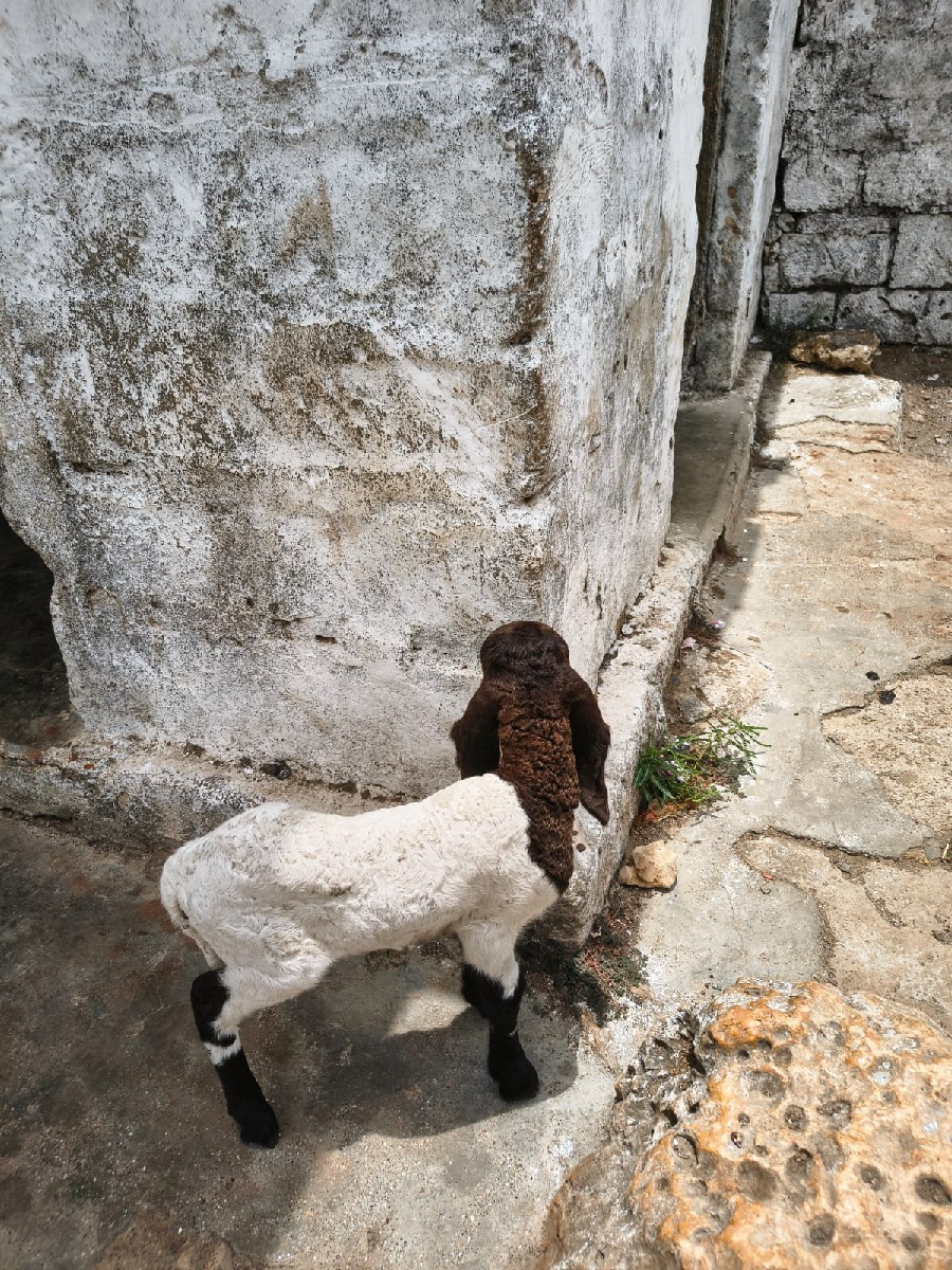Post Image 2