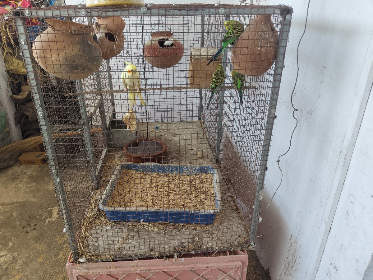 Post Image 1