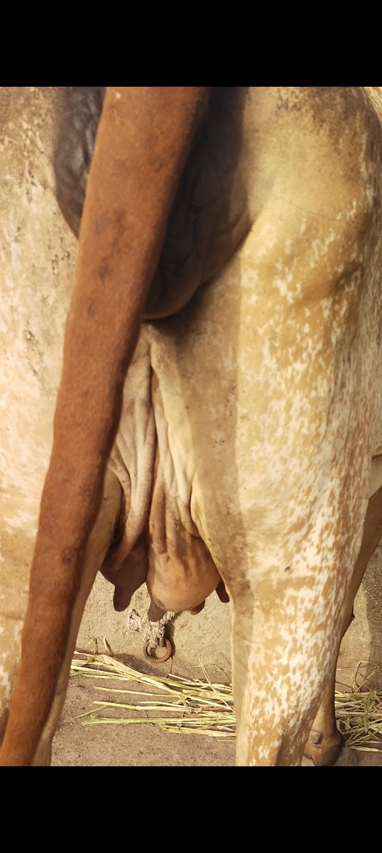 Post Image 2