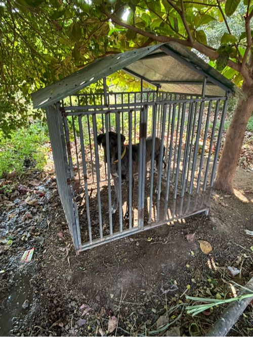 Post Image 2