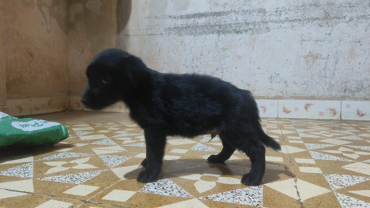 Post Image 2