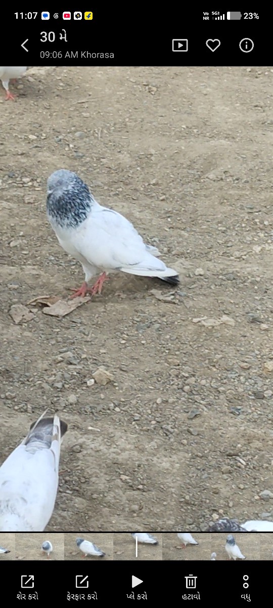 Post Image 2