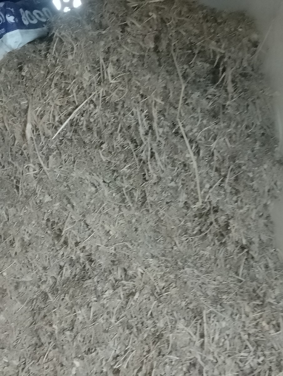 Post Image 3