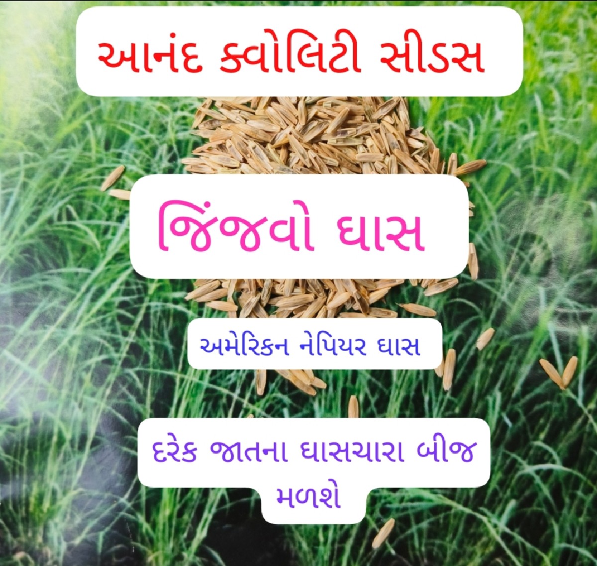 Post Image 5