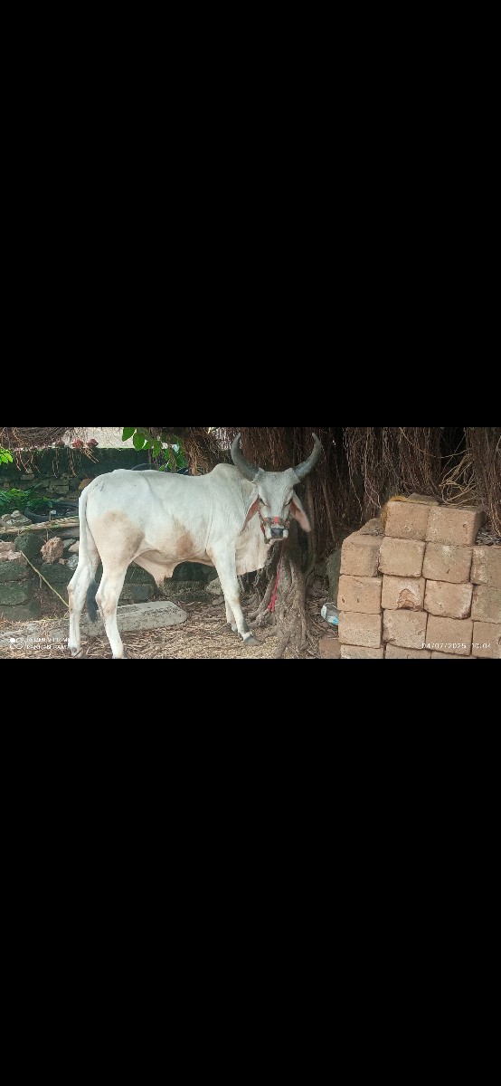 Post Image 3