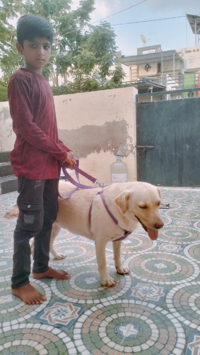 Post Image 3