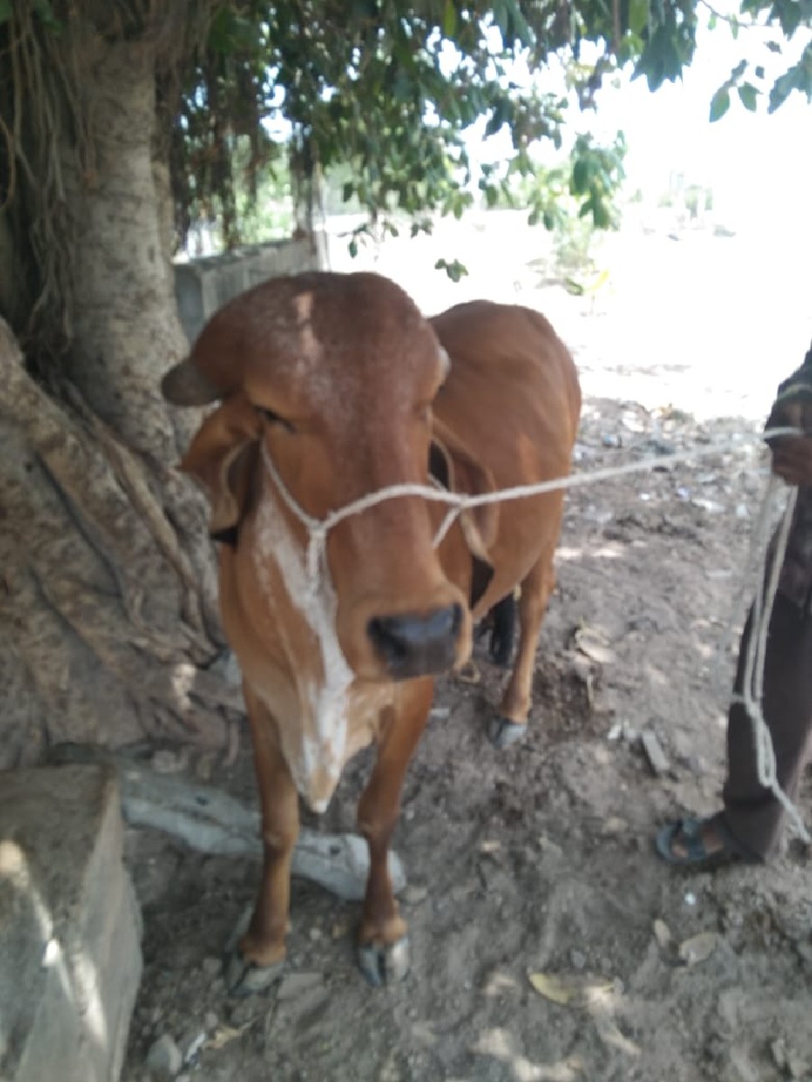 Post Image 3