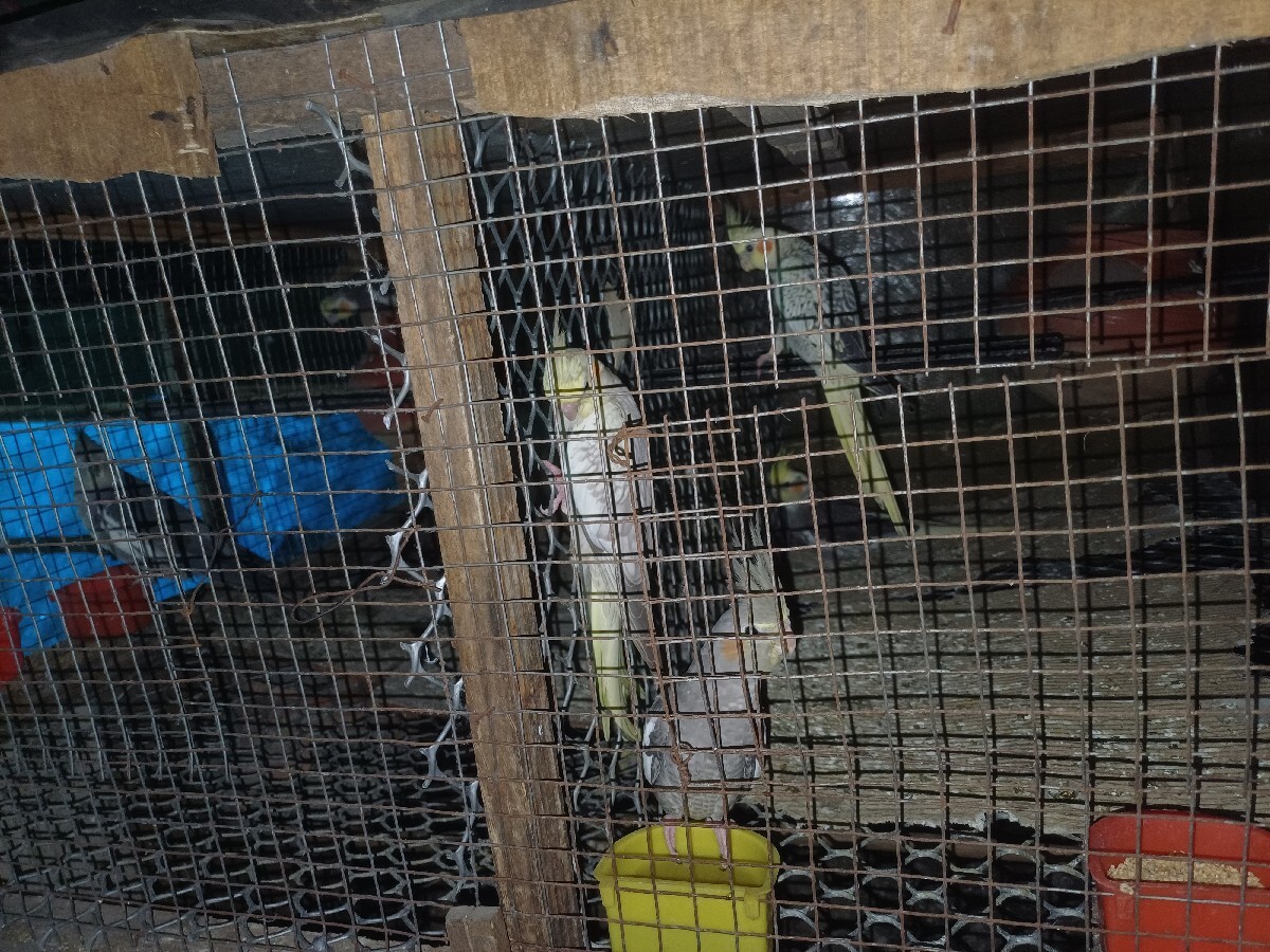 Post Image 1